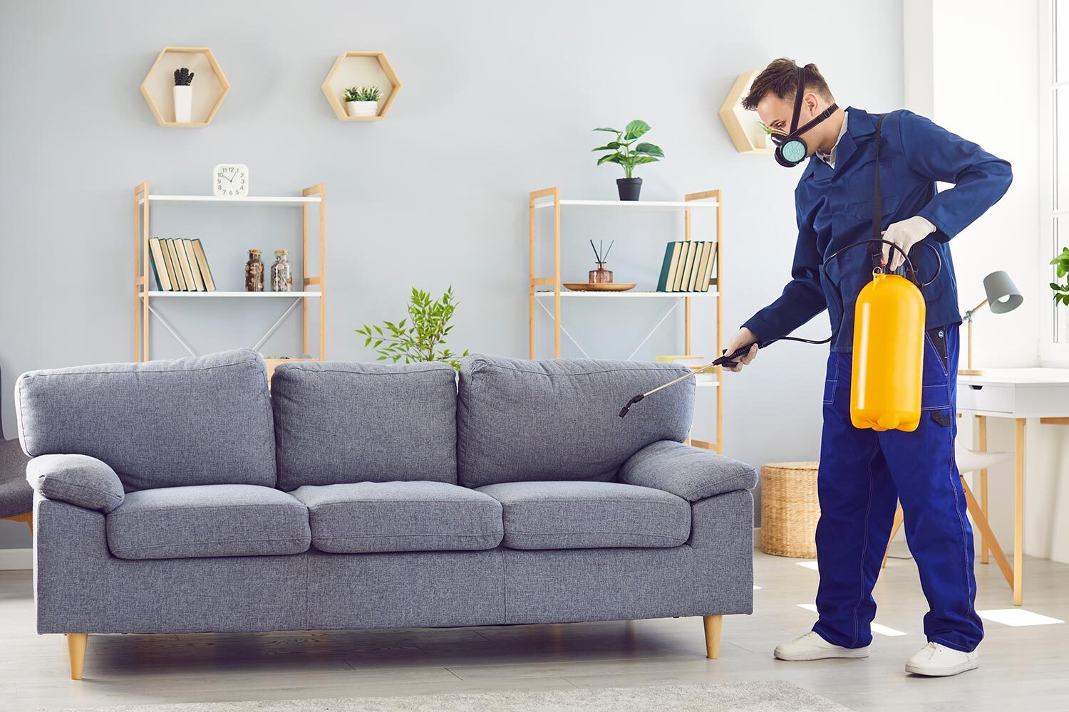 Best Pest Control Near Me: Protecting Homes and Businesses from Infestations