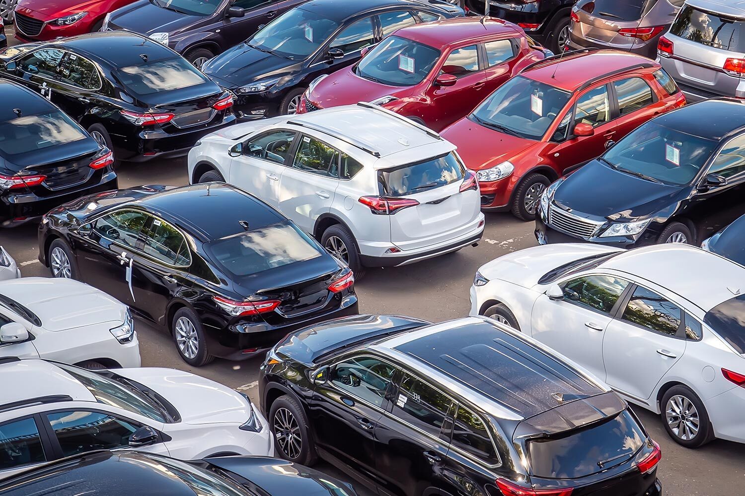 Small SUV Cars: Compact Yet Powerful Options for Modern Drivers