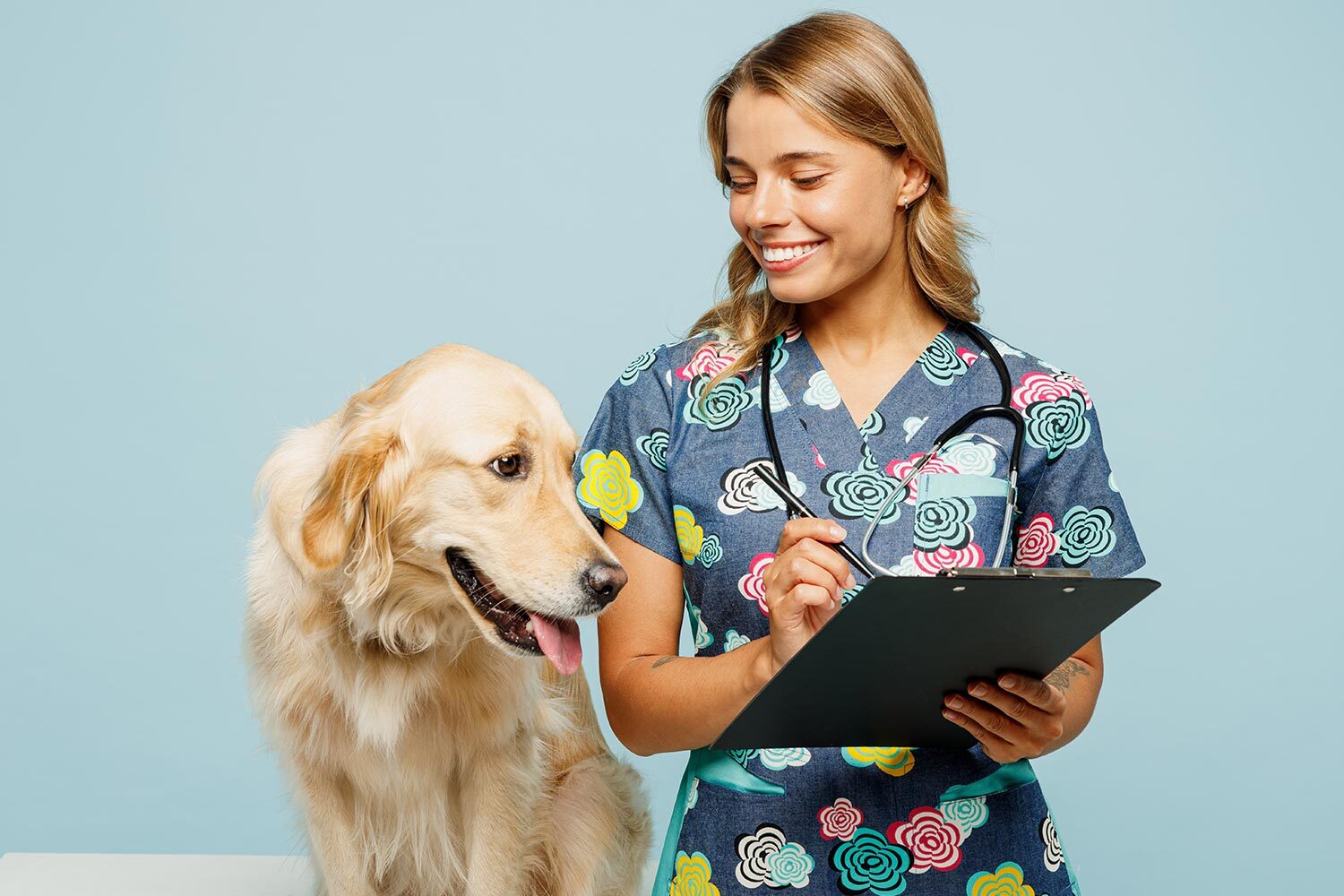 Understanding Pet Insurance for Dogs: What You Need to Know