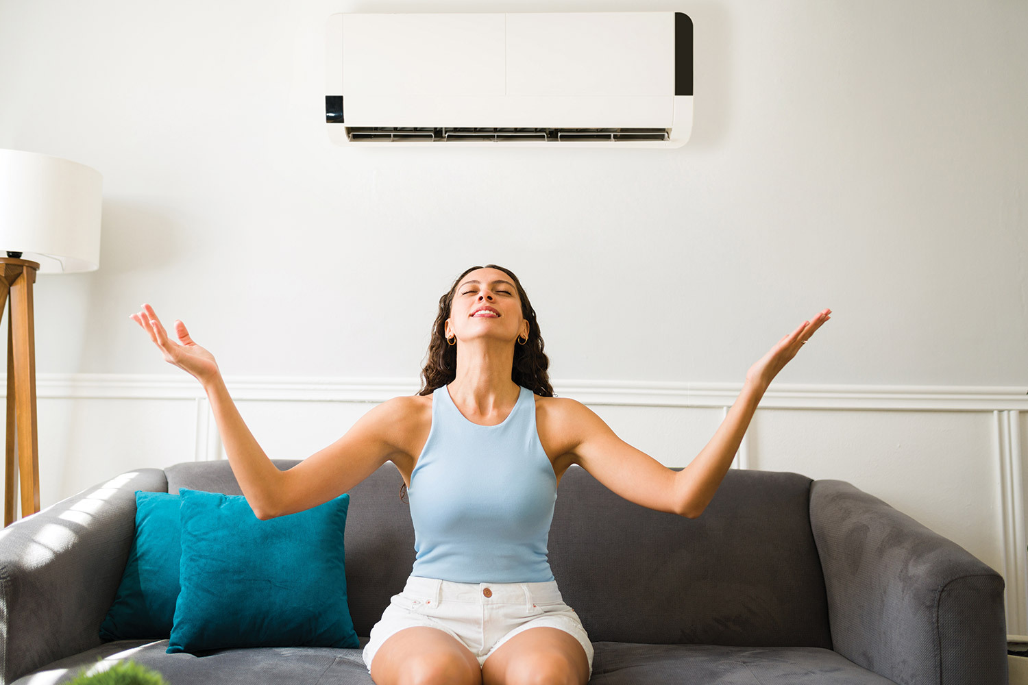 Affordable Ductless Mini-Split: A Practical Climate Control Solution