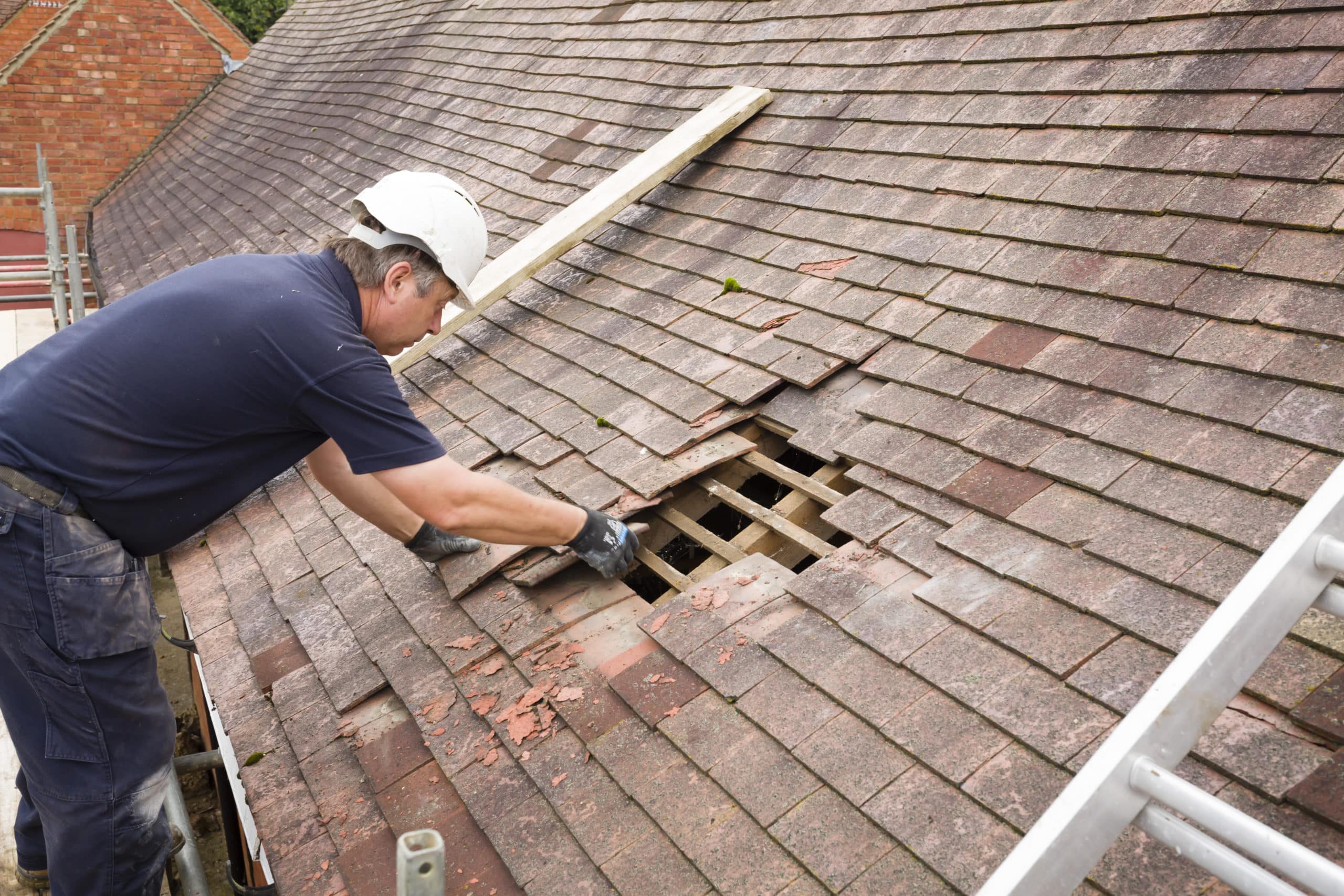 I Need My Roof Repaired: What to Know Before You Start